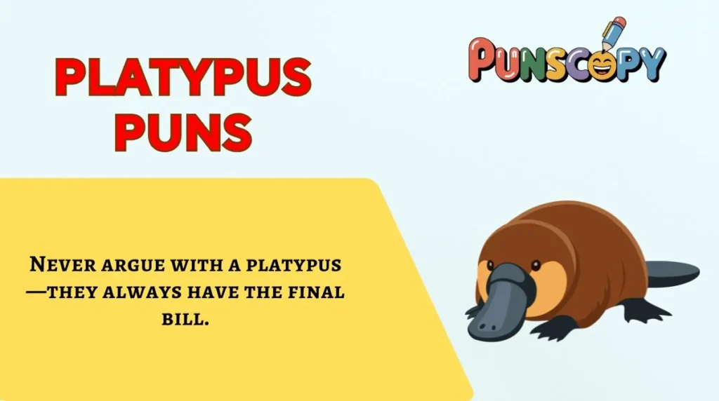 Platypus Puns