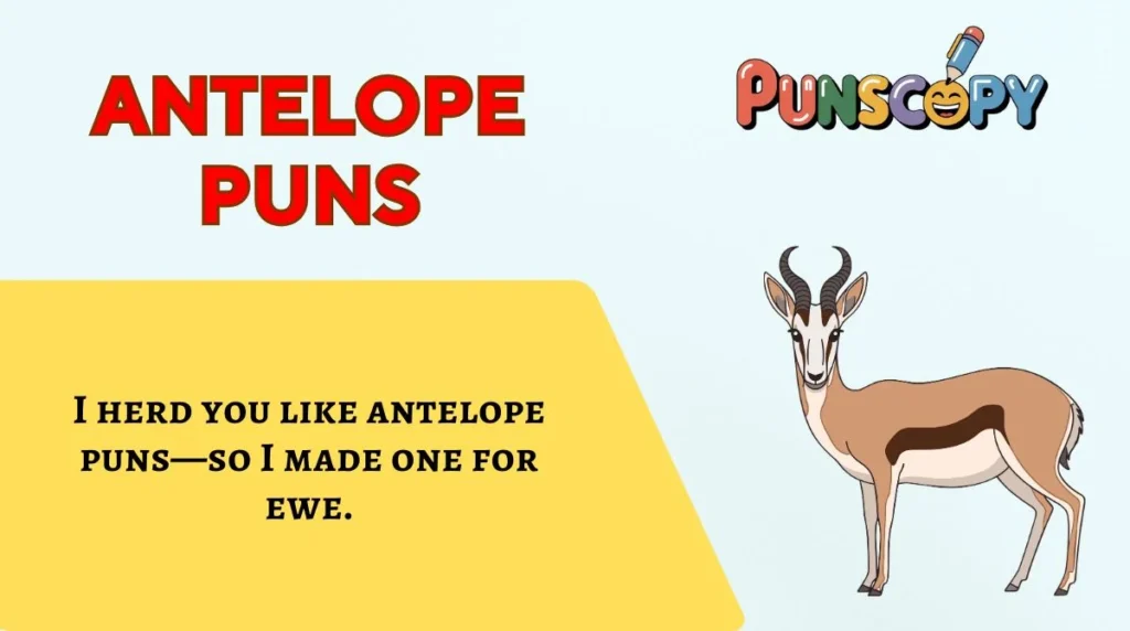 Antelope Puns