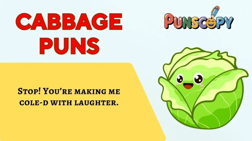 Cabbage Puns