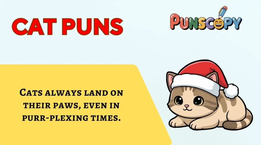 Cat Puns