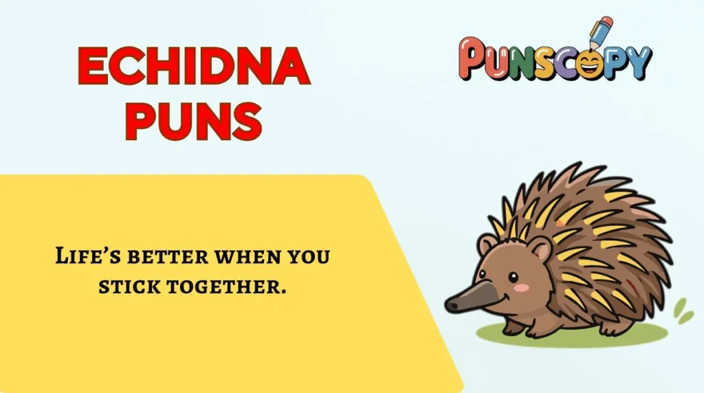 Echidna Puns