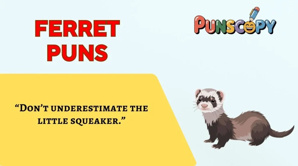 Ferret Puns