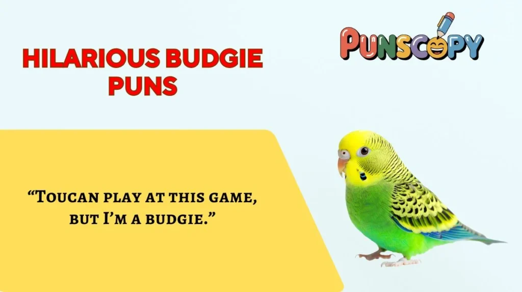 Hilarious Budgie Puns