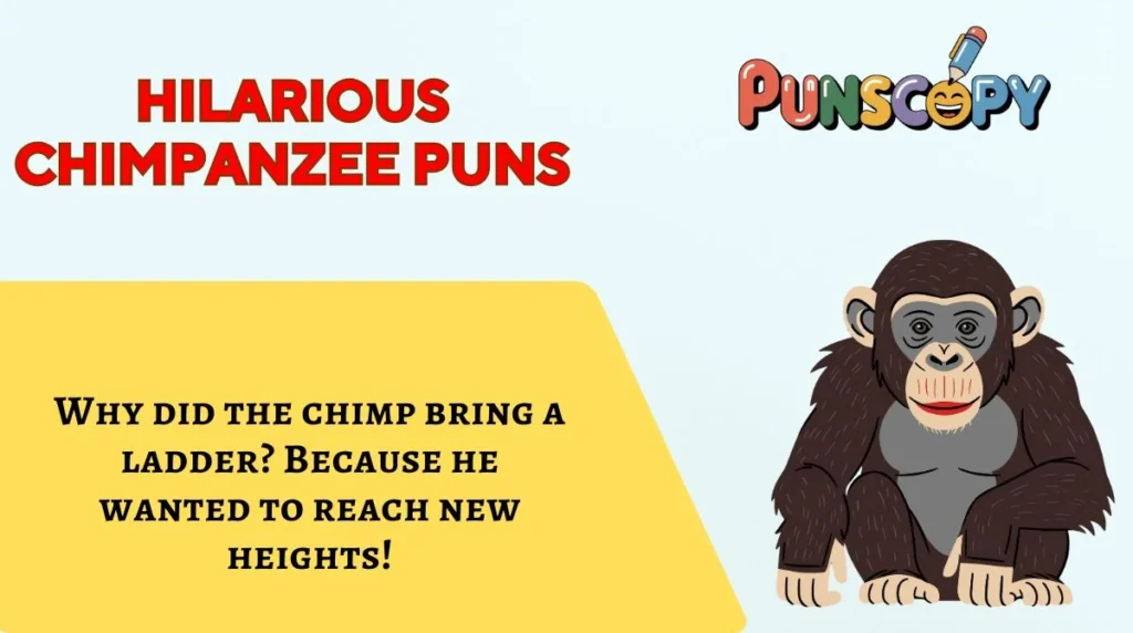 Hilarious Chimpanzee Puns