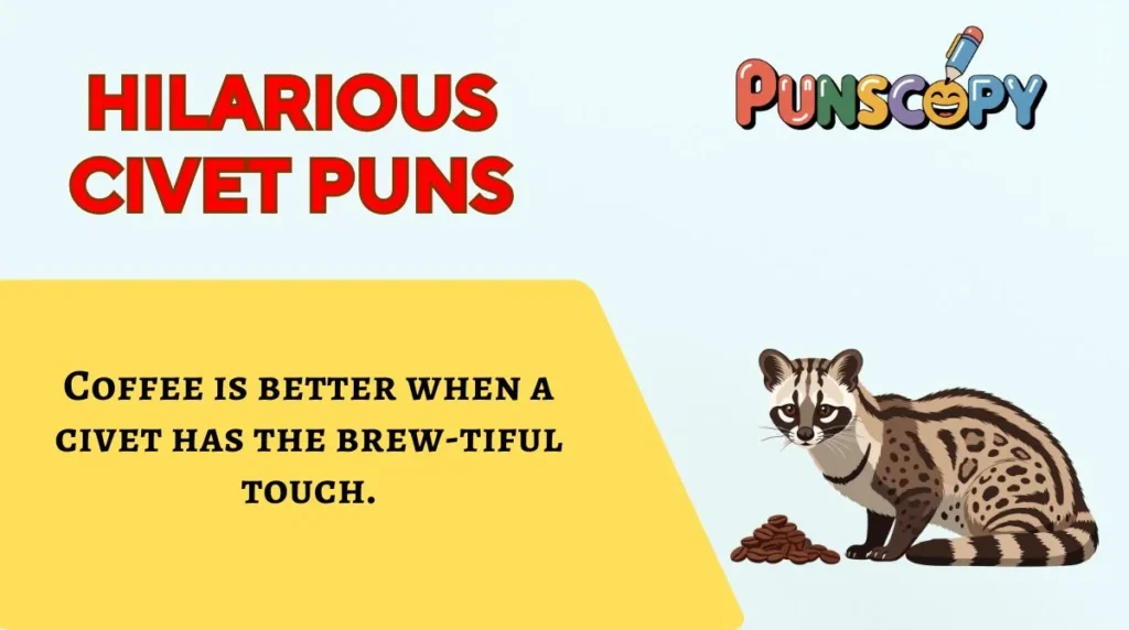 Hilarious Civet Puns