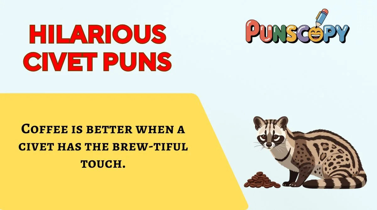 Hilarious Civet Puns