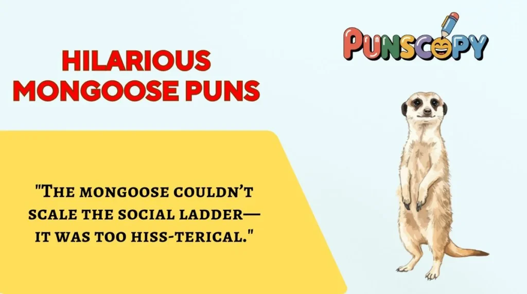 Hilarious Mongoose Puns