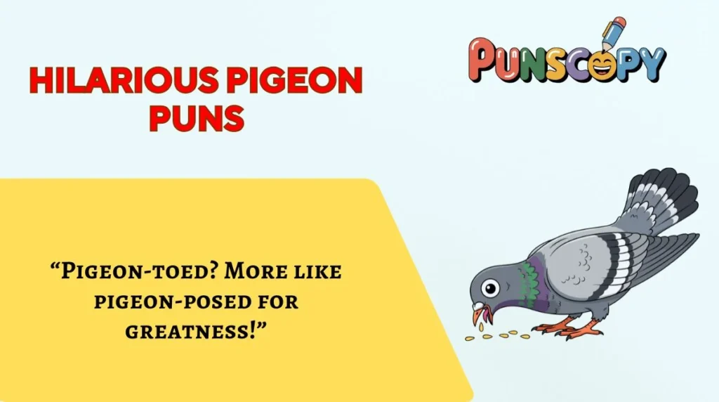 Hilarious Pigeon Puns