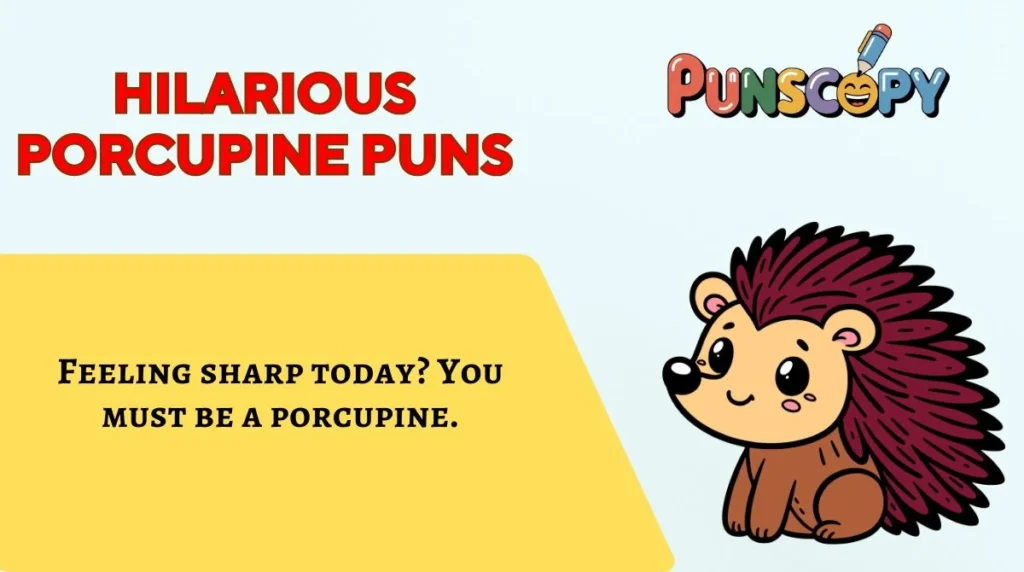 Hilarious Porcupine Puns
