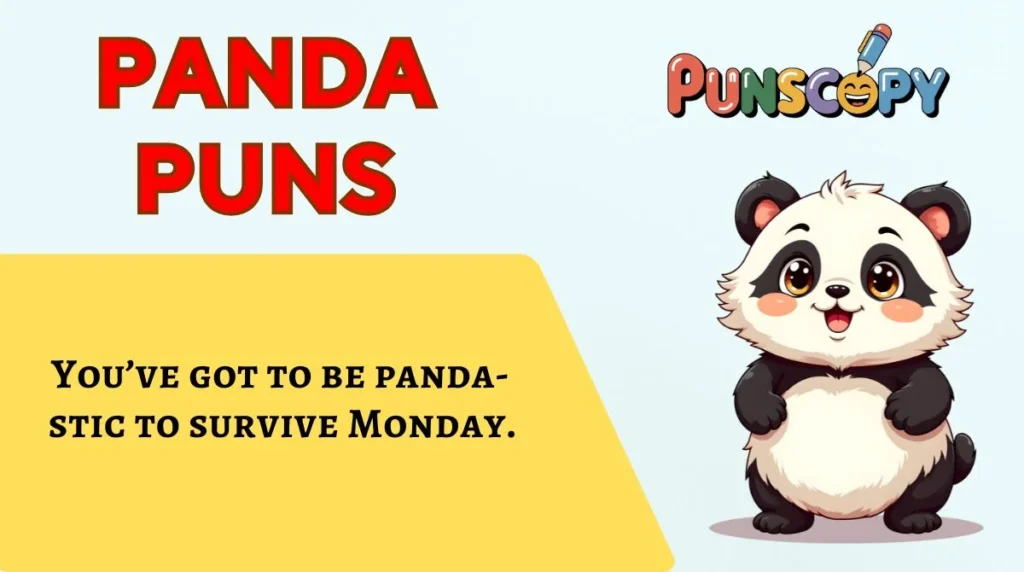 Panda Puns