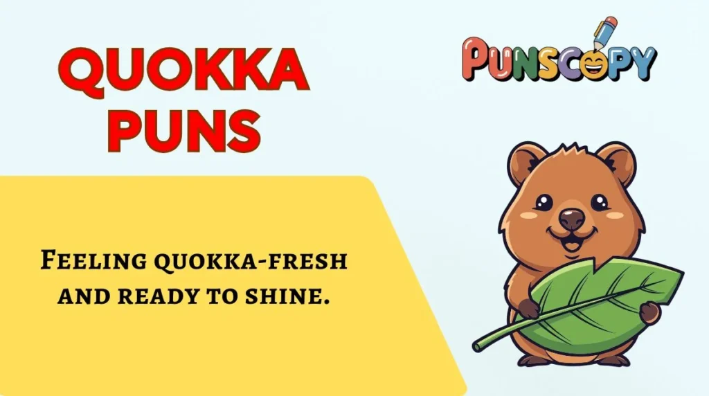 Quokka Puns