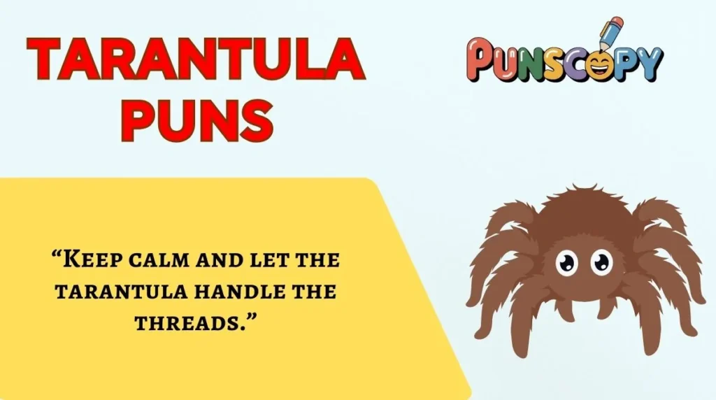 Tarantula Puns