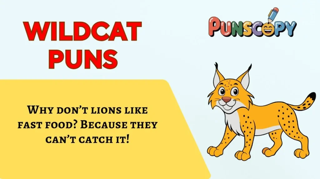 Wildcat Puns