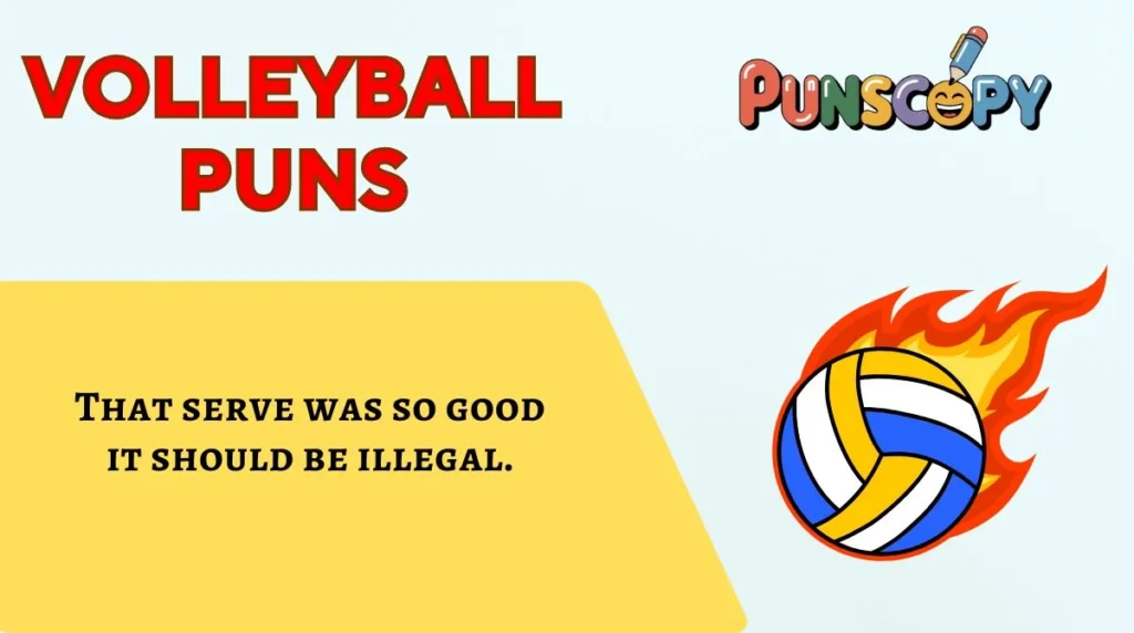 Volleyball Puns