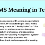 LMS Meaning in Text