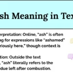 Ash Meaning in Text
