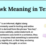 Lowk Meaning in Text