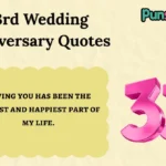 33rd Wedding Anniversary Quotes
