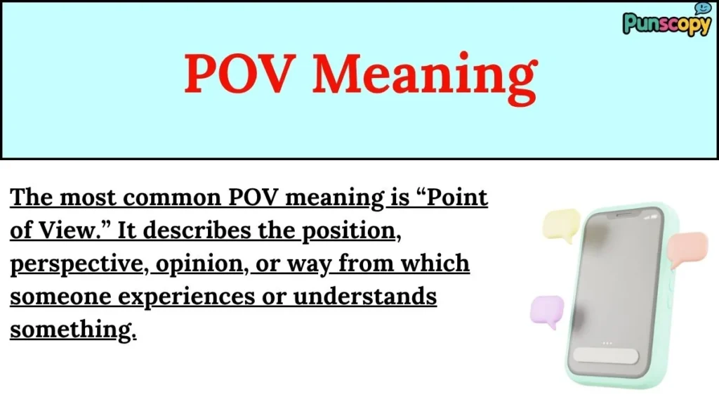 POV Meaning