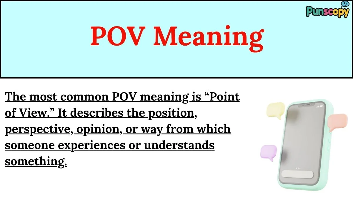 POV Meaning