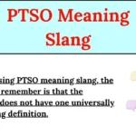 PTSO Meaning Slang