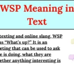 WSP Meaning in Text