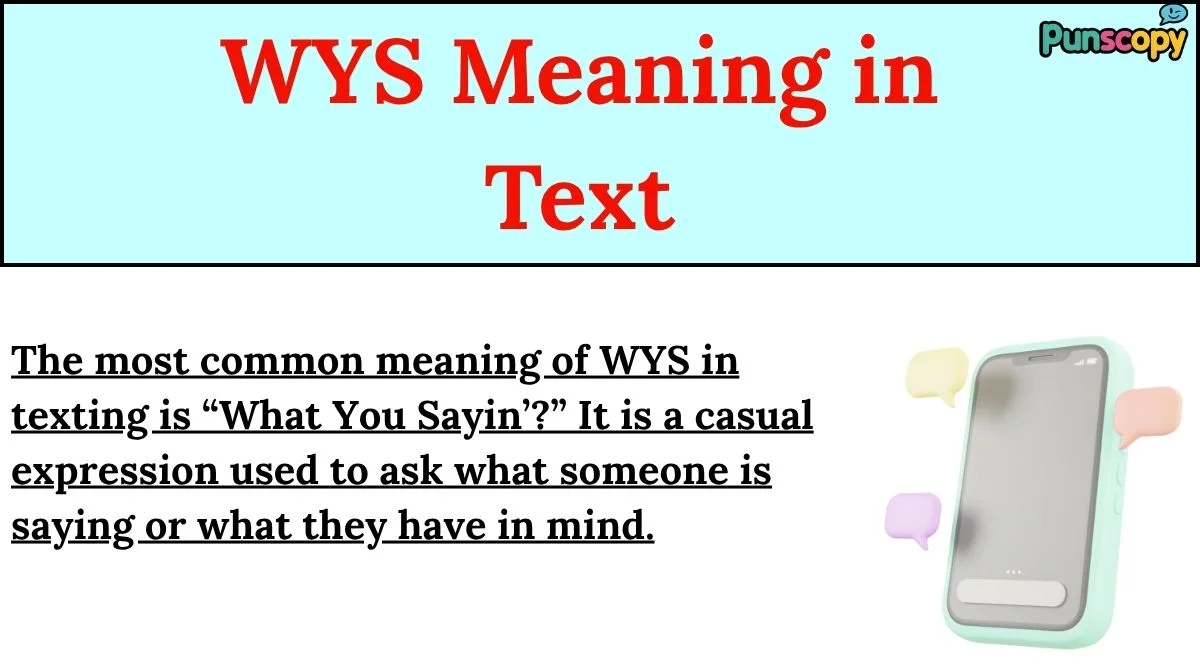 WYS Meaning in Text