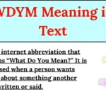 WDYM Meaning in Text