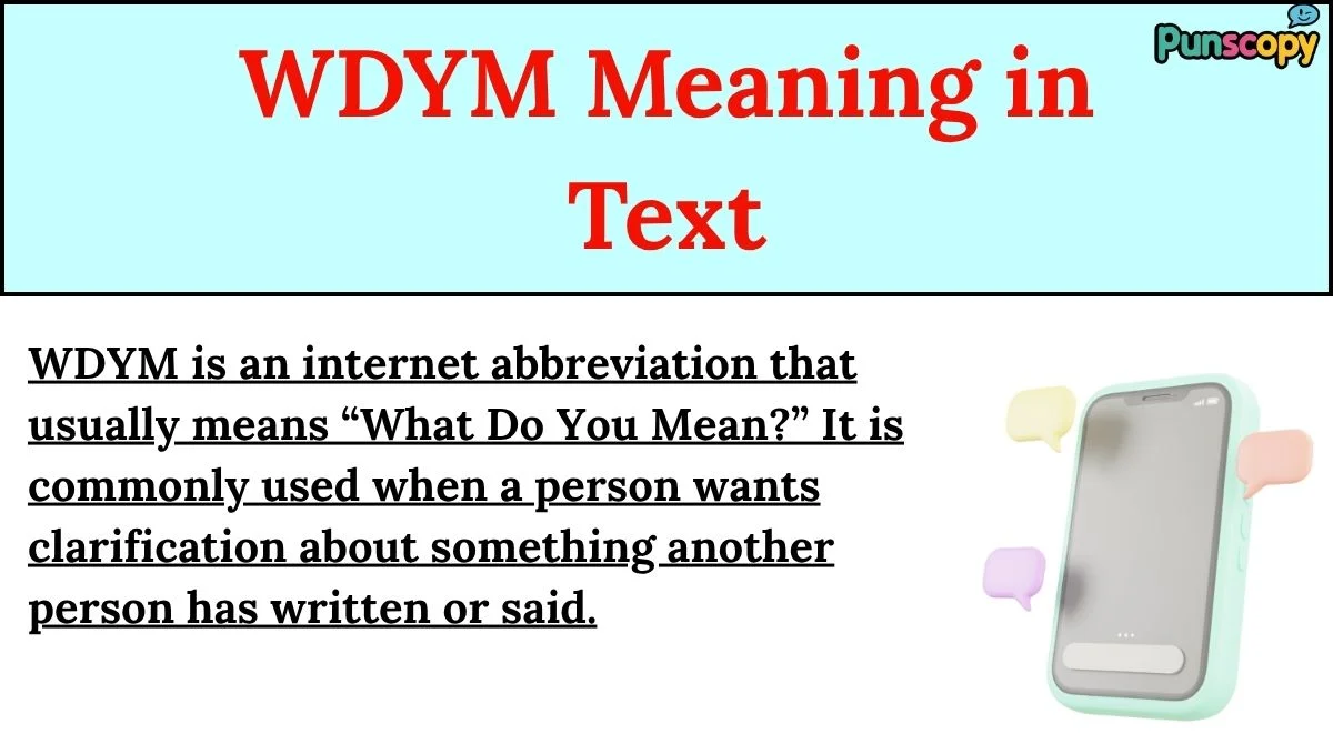 WDYM Meaning in Text